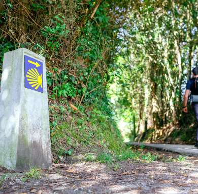 signpost of saint james way with pilgrim walking 2022 01 28 06 19 03 utc