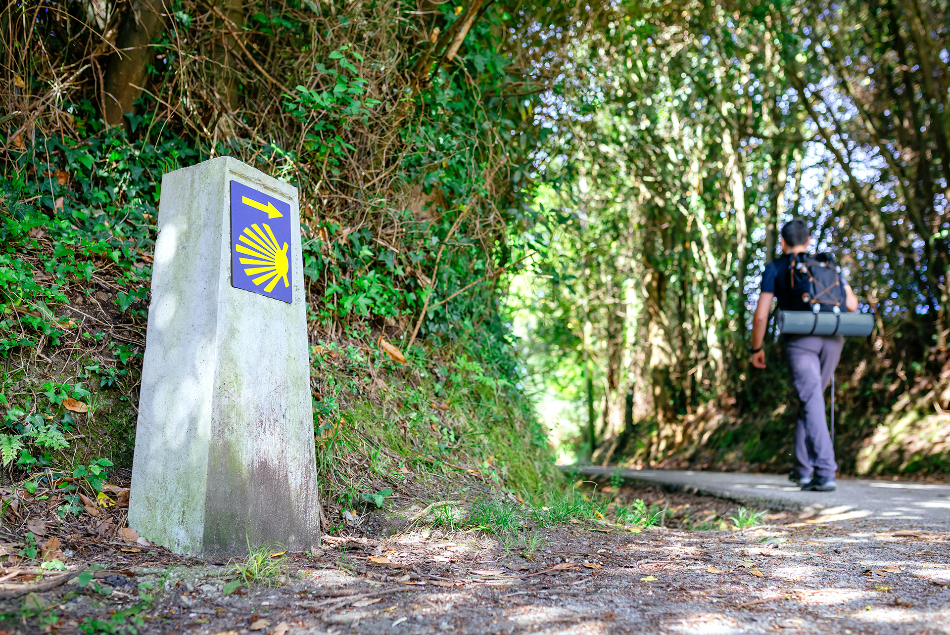 Camino de Santiago