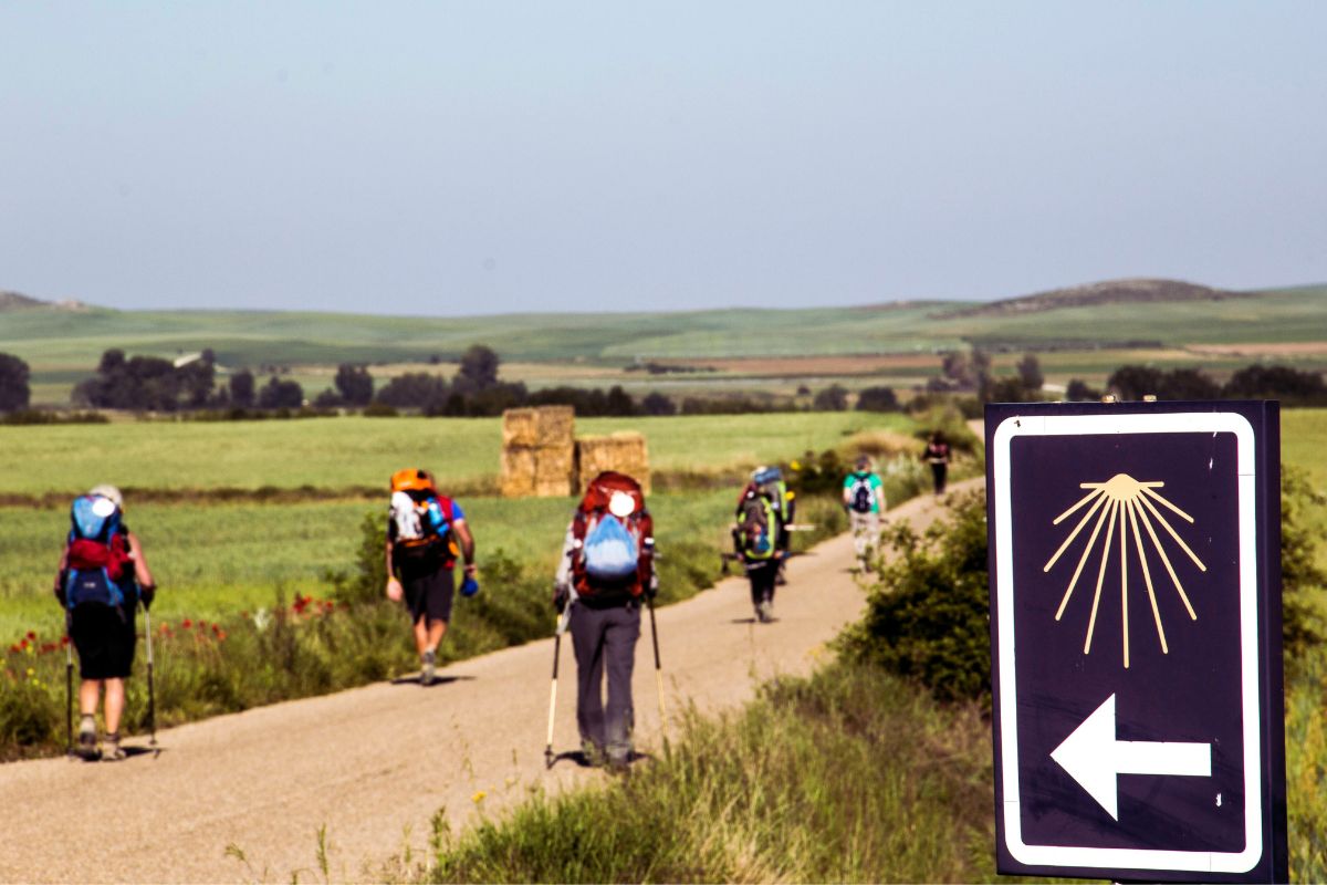 La Peregrinación: Un Camino Espiritual hacia la Renovación y la Fe peregrinación a Camino de Santiago